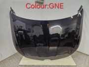 Motorhaube RENAULT MEGANE IV (B9A/M_) 1.2 TCe 130 (B9MR)