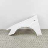 Kotflügel links vorne Audi A6 Avant (4G, C7) 4G0821101