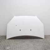 Motorhaube FIAT DOBLO Cargo (223_) 1.3 D Multijet 46743226