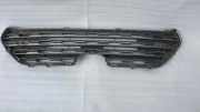 Vorderer oberer Gitter TOYOTA RAV 4 V (XA50) FWD LE 2.5 5311242220