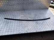 Dachleiste links JAGUAR XF (X250) 2.2 D