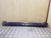 Zier-/Schutzleistensatz für Kühlergitter VW Transporter T4 Fahrgestell ()