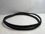 Türdichtung vorne rechts MERCEDES-BENZ GLS (X166) 350 d 4-matic (166.824) A1666970051