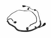 Kabelbaum Citroen C5 III (RD) F000024356