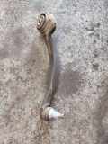 Vordere Kamera MERCEDES-BENZ C Cabrio (A205) C 220 d (205.404) A2053301305