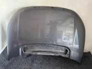 Motorhaube LAND ROVER DISCOVERY SPORT (L550) 2.0 D 4x4 873
