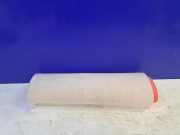 Filter für Kurbelgehäuseentlüftung BMW X5 (E70) 13712247444