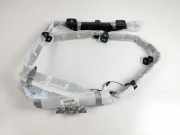 SRS Modul Dach links BMW X3 (F25) xDrive 20 d 6256161