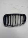 Vorderer oberer Gitter BMW 1 (E81) 120 d 51137179655