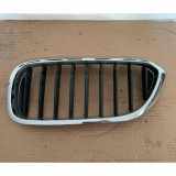 Gitter Grill vorne links BMW 5 Touring (G31) 520 d 7473701