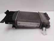 Ladeluftkühler Toyota Urban Cruiser (P1) JD1271005100