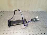 Kühler Toyota RAV 4 III (A3) 0134100243