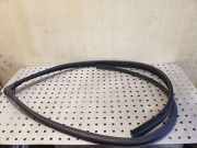 Türgummi rechts vorne Renault Trafic II Kasten (FL)