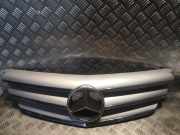 Ziergitter Mercedes-Benz B-Klasse Sports Tourer (W245) 1698800883