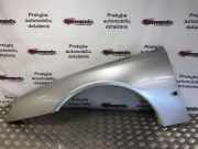 Kotflügel vorne links