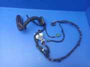 Kabel der vorderen linken Tür BMW 7 (E65, E66, E67) 730 Ld 13318810