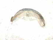 Radhaus rechts hinten Mercedes-Benz A-Klasse (W169) 1696982030