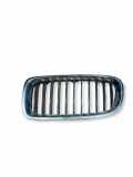 Vorderer oberer Gitter BMW 3 (F30, F80) 320 d 7295441