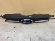 Vorderer oberer Gitter FORD TRANSIT CUSTOM 2.0 TDCi BK218A133A