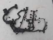 Kabel Motor Honda Insight (ZE) 7184615330