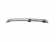 Dachgriff hinten links MERCEDES-BENZ GL (X166) GL 350 CDI / BlueTec 4-matic (166.823, 166.824) A1668900500