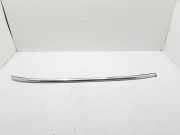 Dachreling rechts BMW 5er Touring (F11)