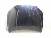 Motorhaube Volvo V70 III (135)