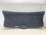 Zierleiste Lexus IS 3 (E3) 6471953110B0