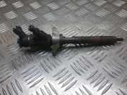 Einspritzdüse PEUGEOT 407 (6D_) 1.6 HDi 110 620026 0445110297