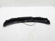Grill Windlauf Renault Koleos II (HC) 668625HA0A