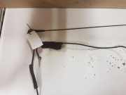 Antenne Dach Citroen Berlingo II Kasten (B9) 9647463480