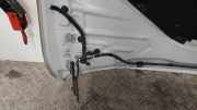 Motorhaube BMW 4er Coupe (F32, F82)