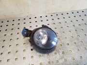 Nebelscheinwerfer links vorne BMW X5 (E70) 89206142