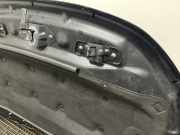 Motorhaube Land Rover Discovery Sport (L550)