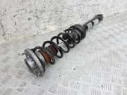 Stoßdämpfer links hinten BMW 5er (F10) 6855966