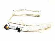 Dach SRS rechts AUDI A6 Allroad (4BH, C5) 2.5 TDI quattro 4B9880742
