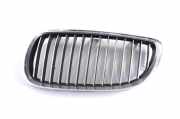 Vorderer oberer Gitter BMW 3 Coupe (E92) 330 d 1237030608