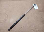 Heckklappendämpfer rechts Renault Laguna II Grandtour (G) 8200025317C