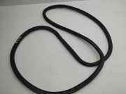 Türdichtung VW Tiguan I (5N)