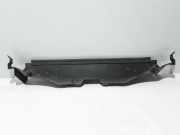 Kühlerluftumlenker RENAULT ESPACE IV (JK0/1_) 2.0 dCi (JK02, JK03) 8200217930