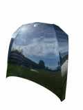 Motorhaube BMW 3 Coupe (E92) 320 d xDrive 41007268905