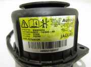 Tür-Airbag hinten links JAGUAR XF (X250) 2.7 D 608803200 8X2316E600AB