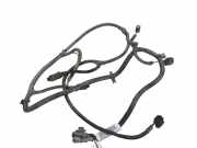 Kabelbaum Hinteren Parksensoren PEUGEOT 5008 2.0 HDi 2007653