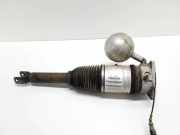 pneumatischer Stoßdämpfer hinten links