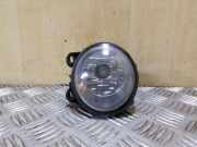 Nebelscheinwerfer links vorne BMW X5 (E53) 63178920886