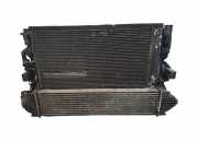 Radiator Pack Set FORD S-MAX 2.0 TDCi 6G919L440FD