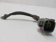 Kabelbaum MASERATI QUATTROPORTE VI 3.0 S Q4 4WD