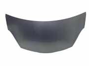 Motorhaube NISSAN PIXO (UA0) 1.0