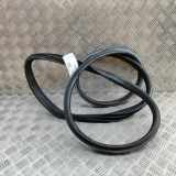 Türgummi rechts vorne Mercedes-Benz C-Klasse Coupe (C205) A2056363800