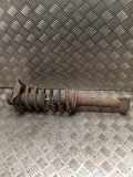 Stoßdämpfer hinten links AUDI 100 (44, 44Q, C3) 2.3 E